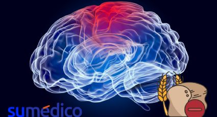 ¿Cómo el gluten puede afectar al cerebro?