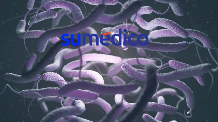 ¿Cuál es la bacteria carnívora que ha quitado la vida a personas en EU?