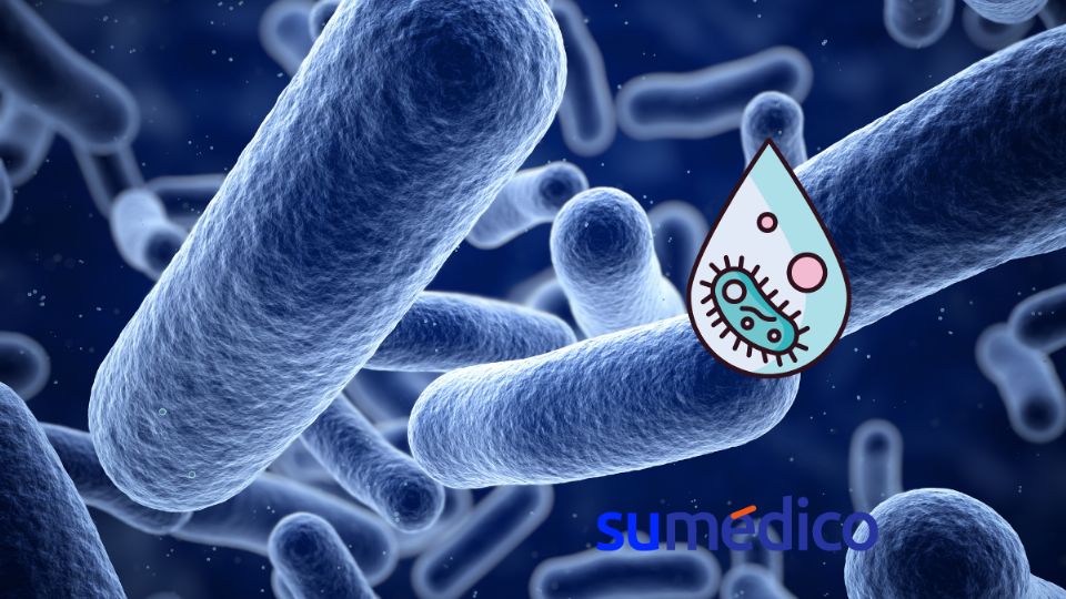 Conoce las implicaciones del estreptococo en la salud