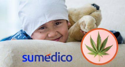 Cannabis para tratar efectos secundarios en cáncer infantil carece de evidencia