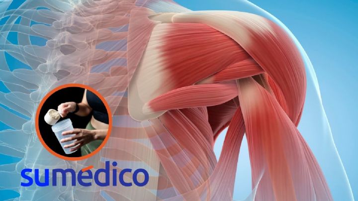 ¿Quieres aumentar tu masa muscular?  Lógralo con el consumo de la creatina