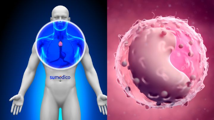 Descubren nuevo mecanismo para mejorar la resistencia al cáncer
