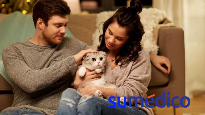 5 beneficios a la salud de tener un gato