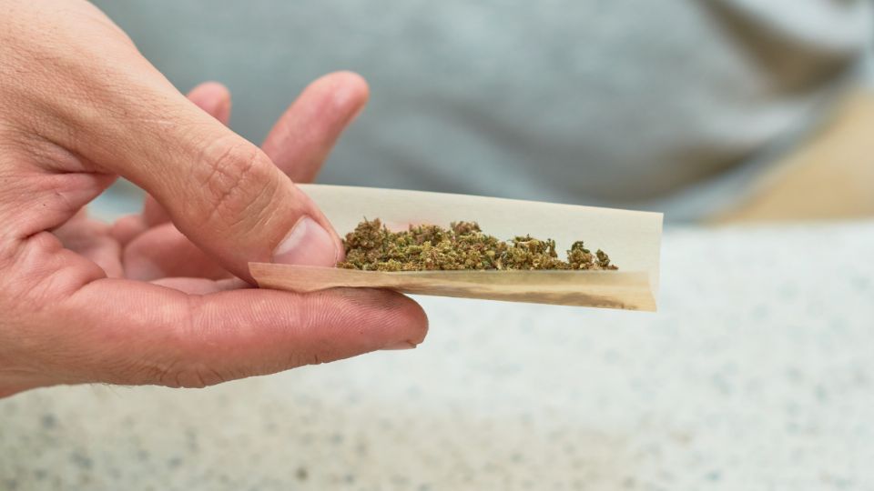 El uso de marihuana puede traer efectos negativos para la salud.