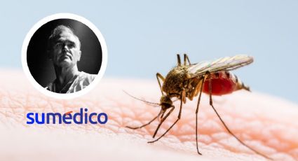 ¿Qué podemos hacer para prevenir el dengue? La enfermedad que contrajo Morrissey