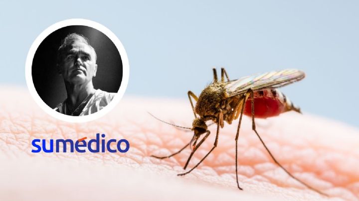 ¿Qué podemos hacer para prevenir el dengue? La enfermedad que contrajo Morrissey