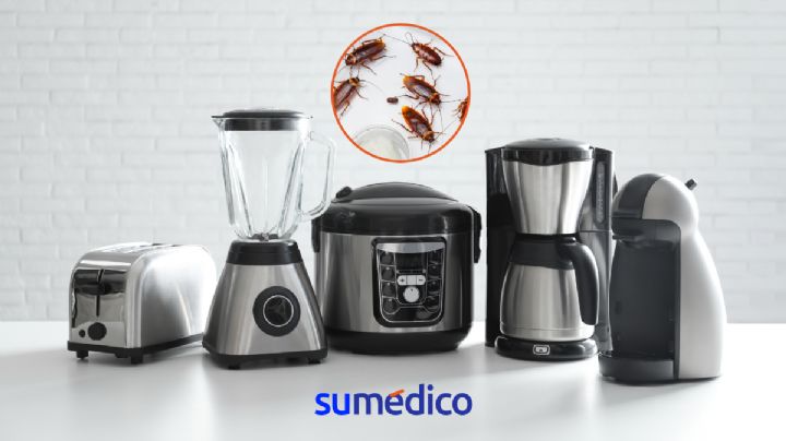 Con este truco podrás eliminar las cucarachas de tus aparatos electrónicos rápido y fácil