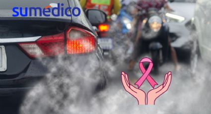 ¿Qué relación tiene la contaminación y el cáncer de mama?