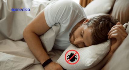 El truco para eliminar definitivamente los ácaros de las almohadas