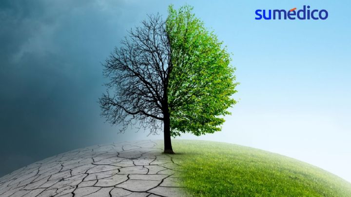 ¿Cómo afecta el cambio climático a nuestra salud?