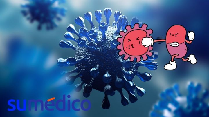 Crean nuevo antibiótico capaz de luchar contra las superbacterias