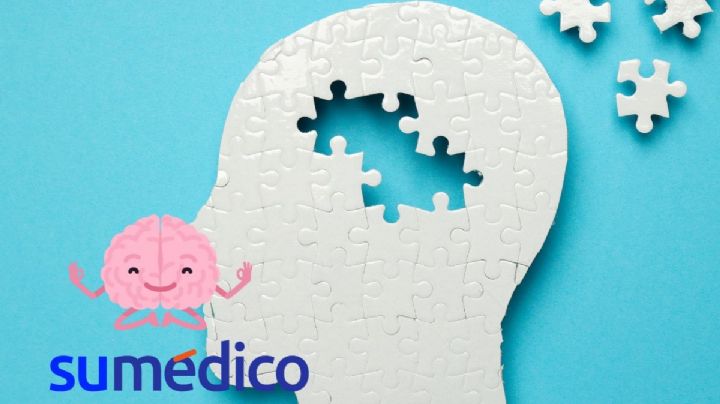 Científicos de Harvard descifran el proceso neuronal detrás del aprendizaje y el olvido