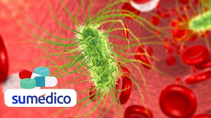 Escasez de agua podría aumentar la resistencia de E.coli hacia medicamentos