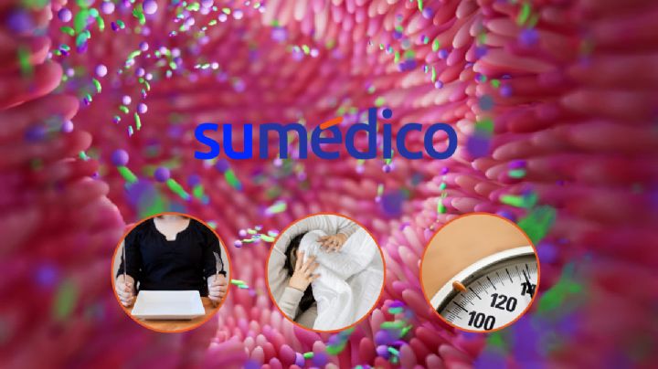 Alterar el microbiota afecta el sueño, el apetito y el peso corporal