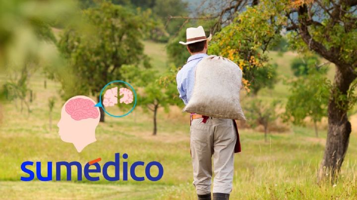 Trabajos que impliquen exceso de fuerza podrían incidir en el deterioro cognitivo