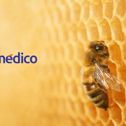 Beneficios de la miel de abeja para el cuerpo humano