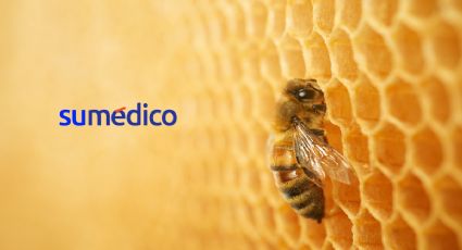 Beneficios de la miel de abeja para el cuerpo humano