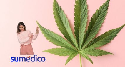 Estas personas deberían evitar el consumo de cannabis, conoce las razones