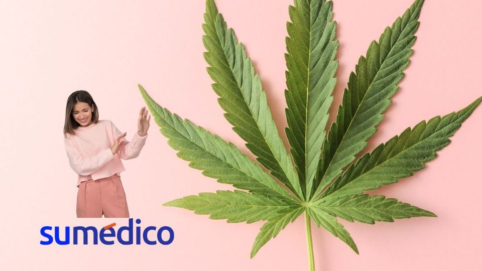 ¿Por qué algunas personas deberían evitar el consumo de cannabis?