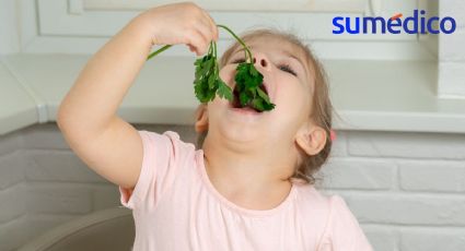 ¿Es malo que los niños lleven una dieta vegetariana y no coman carne?