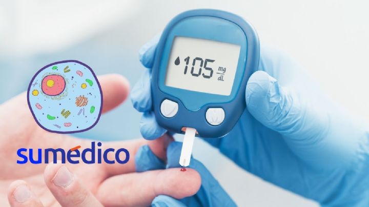 Este descubrimiento podría cambiar la prevención y tratamiento de la diabetes