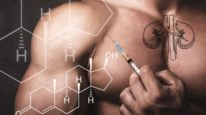 ¿Cómo influye la testosterona en los riñones de los hombres?