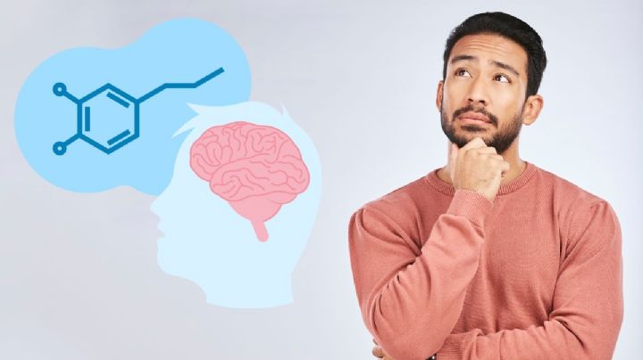 ¿Cómo influye la melatonina en la formación de la memoria?