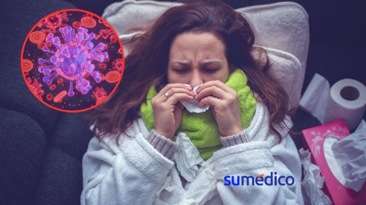 ¿Por qué los virus son tan “duros de matar”? 