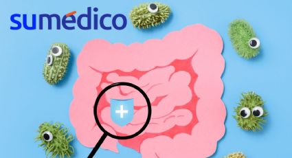 ¿Qué es lo mejor para repoblar la flora intestinal?