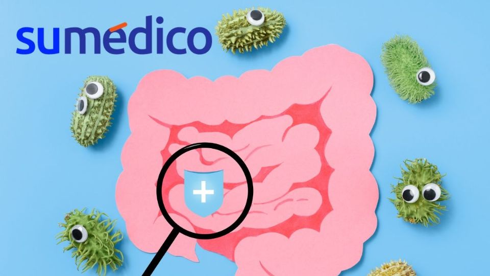 De esta manera puedes repoblar tu flora intestinal de forma natural.