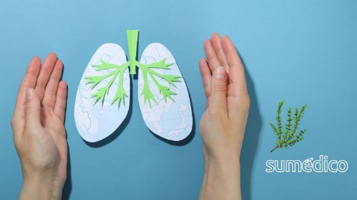 ¿Qué es bueno para limpiar los pulmones? Conoce los beneficios del tomillo