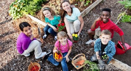 ¿Qué beneficios aporta la jardinería? 5 aprendizajes que se llevarán tus hijos