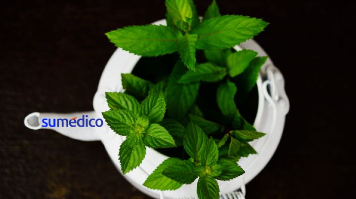 Conoce la mejor infusión para combatir el resfriado