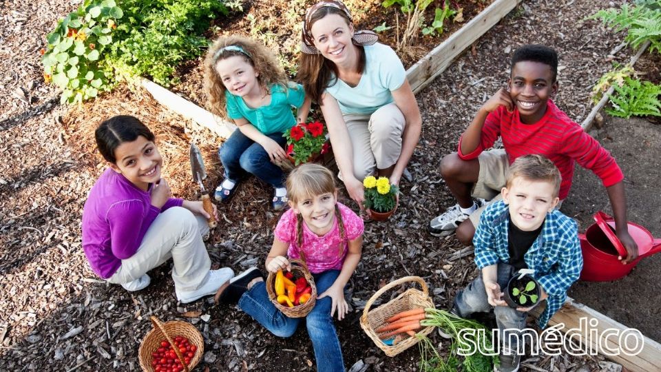 ¿Por qué practicar la jardinería con los niños? Conoce las razones.