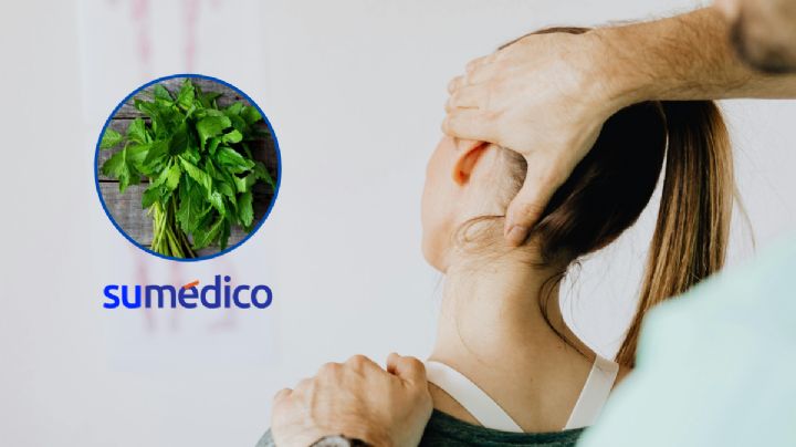 Esta es la hierba medicinal capaz de aliviar los dolores musculares