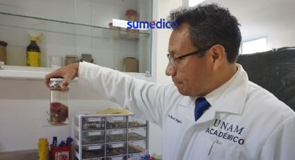 UNAM: Después de la muerte... ciencia; donación de cuerpos, un regalo de vida