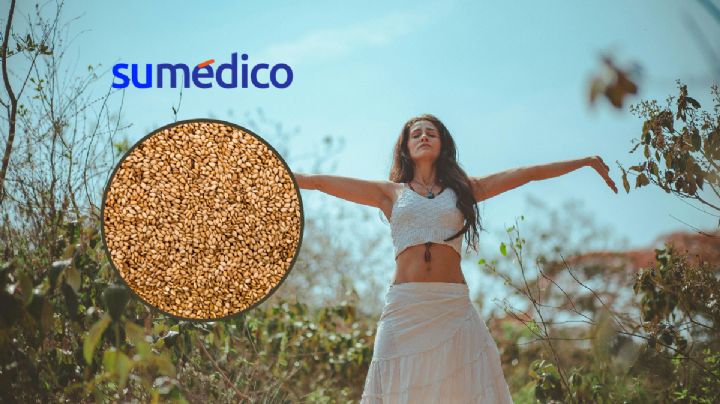 5 propiedades que hacen del ajonjolí el alimento ideal para tu cuerpo