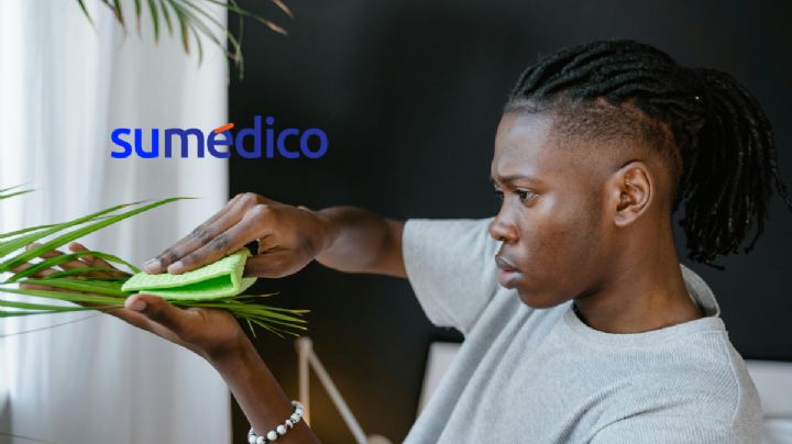 Cuidar tus plantas puede resultar ser una gran terapia, según expertos