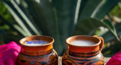 Día Nacional del pulque: tradición y salud en una sola bebida