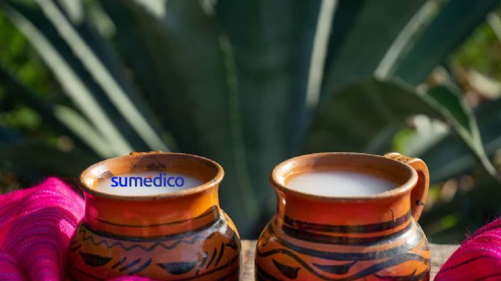 Día Nacional del pulque: tradición y salud en una sola bebida
