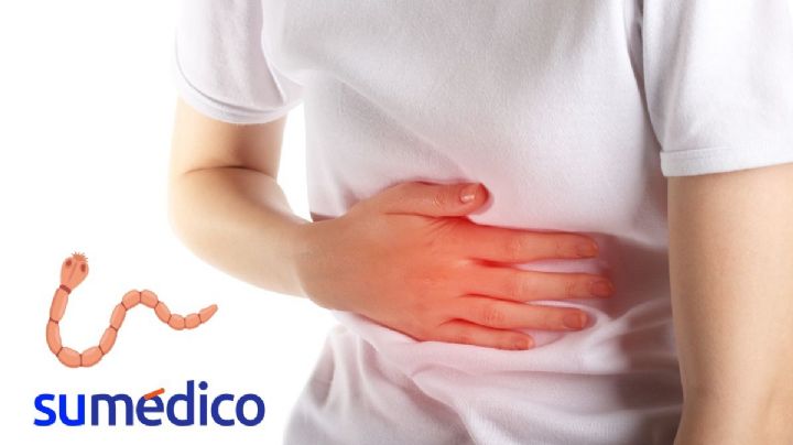 ¿Cuáles son los síntomas de la lombriz solitaria?
