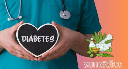 La planta medicinal que reduce el riesgo de diabetes y tiene otros beneficios