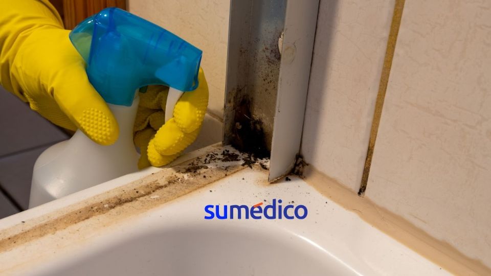 Descubre cómo quitar el moho del baño