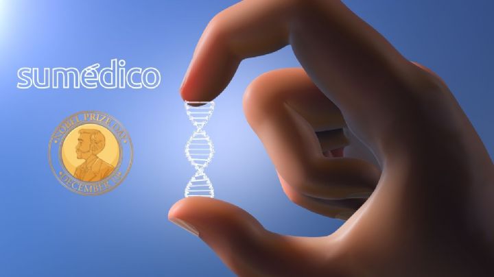 Micro-ARN: El descubrimiento que ganó el Nobel de Medicina 2024