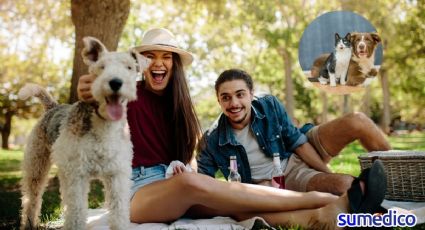 ¿Por qué tener una mascota podría ser la clave de una relación más feliz?