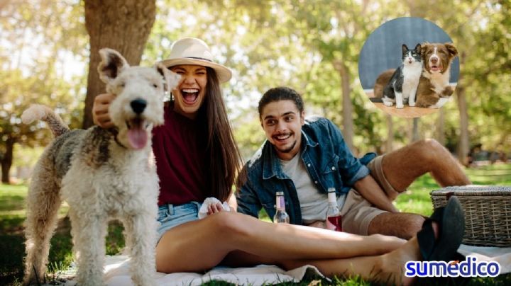 ¿Por qué tener una mascota podría ser la clave de una relación más feliz?