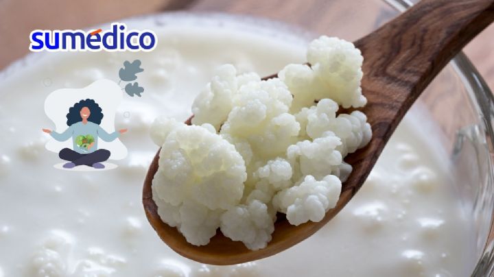 ¿Qué son los búlgaros de leche y para qué sirven?