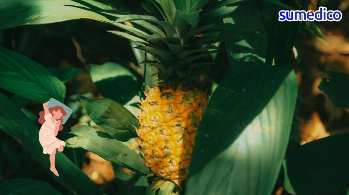 ¿Problemas para dormir? Comer esta fruta antes de acostarte puede ayudar