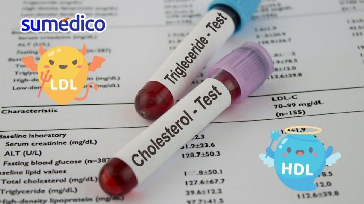 ¿Cómo se siente tener el colesterol alto?