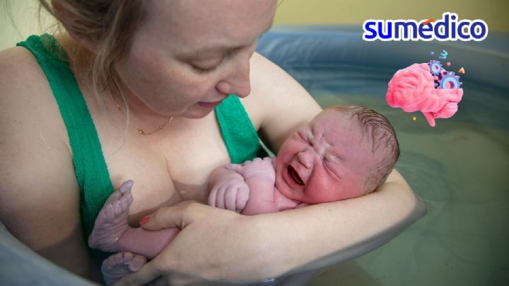 ¿Cómo cambia la maternidad el cerebro de una mujer?